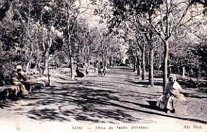 2972- Setif - Jardins d'Orleans - Allees - 1915